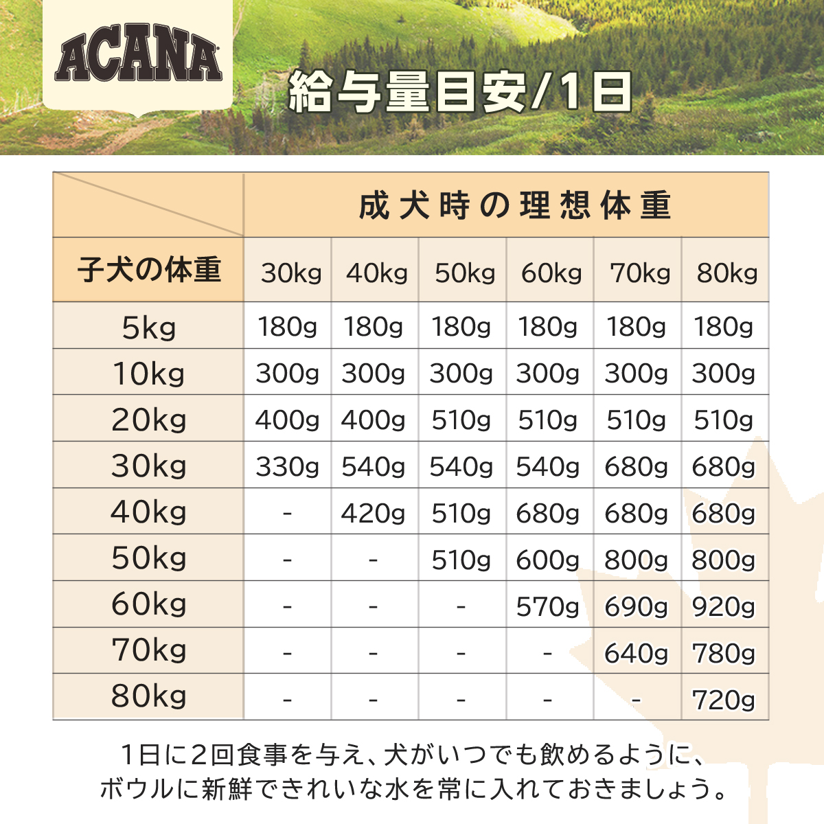 順次、原材料・成分を変更】アカナ パピーラージブリードレシピ 11.4kg+国産鹿レッグボーン 1本Mサイズ : dset01571 :  ドッグパラダイスぷらすニャン別館 - 通販 - Yahoo!ショッピング