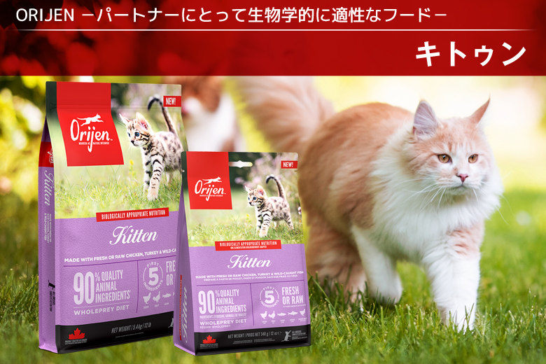 オリジン キトゥン（幼猫・成長期用） PET DINING