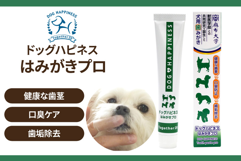 ドッグハピネス はみがきプロ 45g