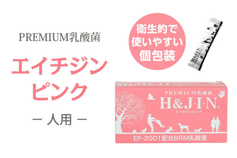 Premium乳酸菌H＆JIN（動物用30包）