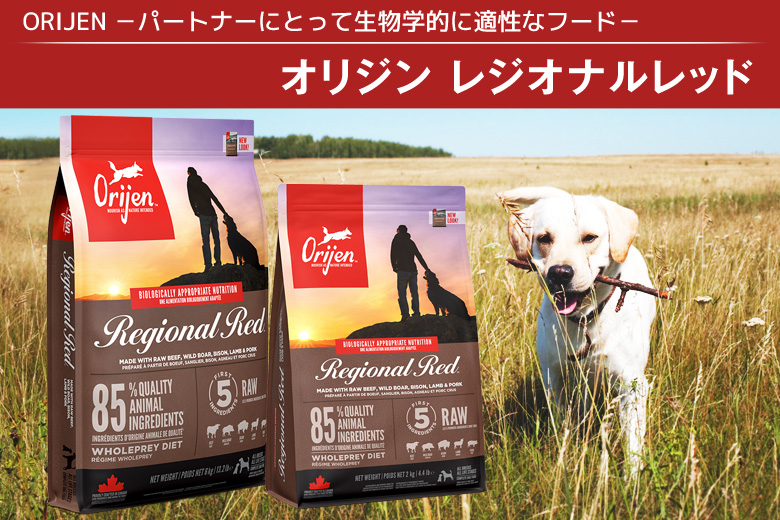 選べるプレゼント付き)オリジン レジオナルレッド ドッグ 11.4kg
