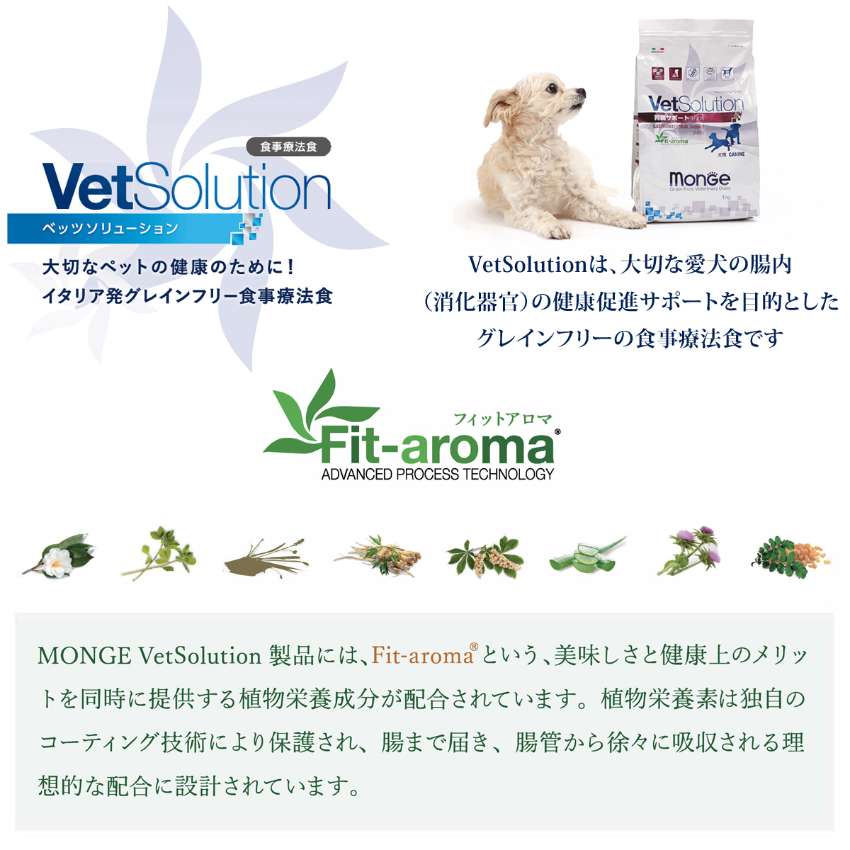 VetSolution 猫用尿中シュウ酸塩サポート2kg