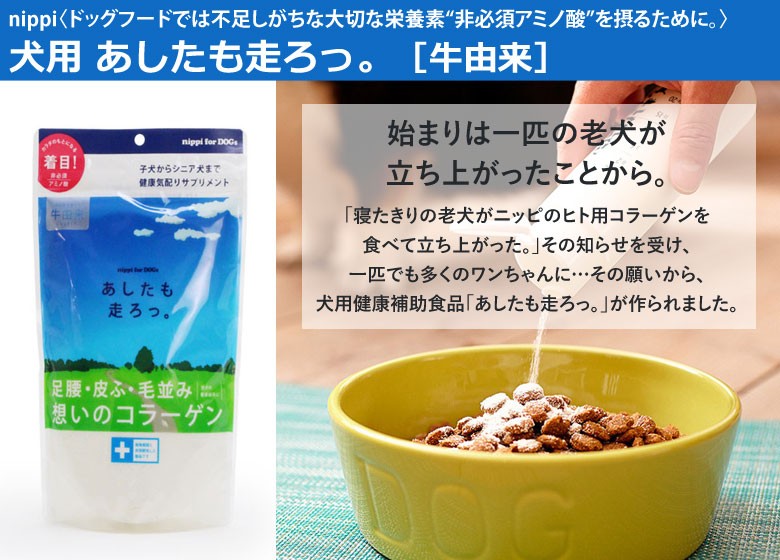 あしたも走ろっ。牛