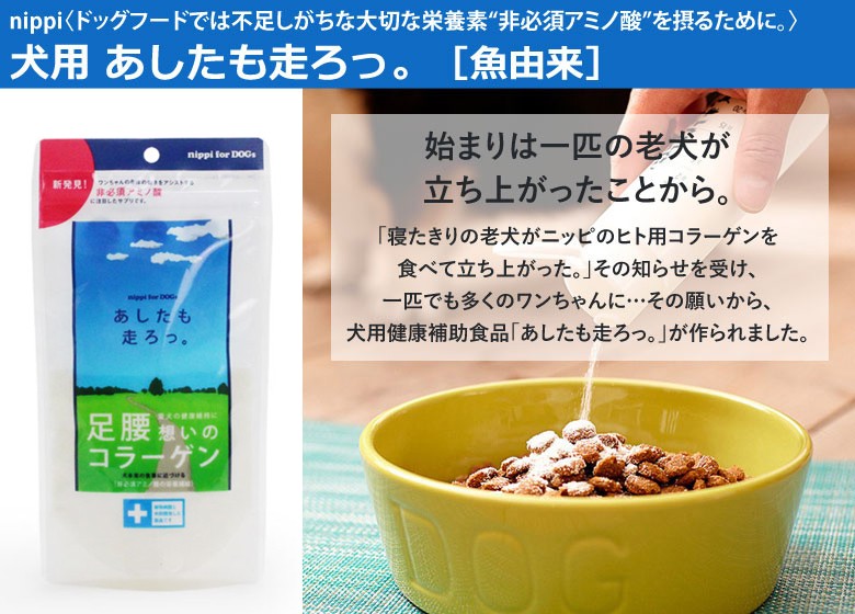あしたも走ろっ。魚セット