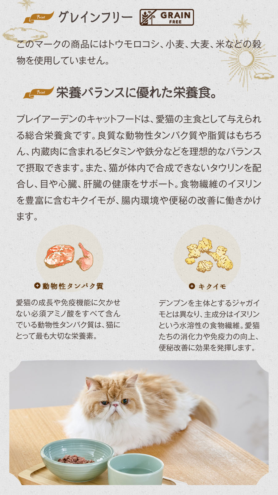 プレイアーデンの商品一覧 通販 - Yahoo!ショッピング