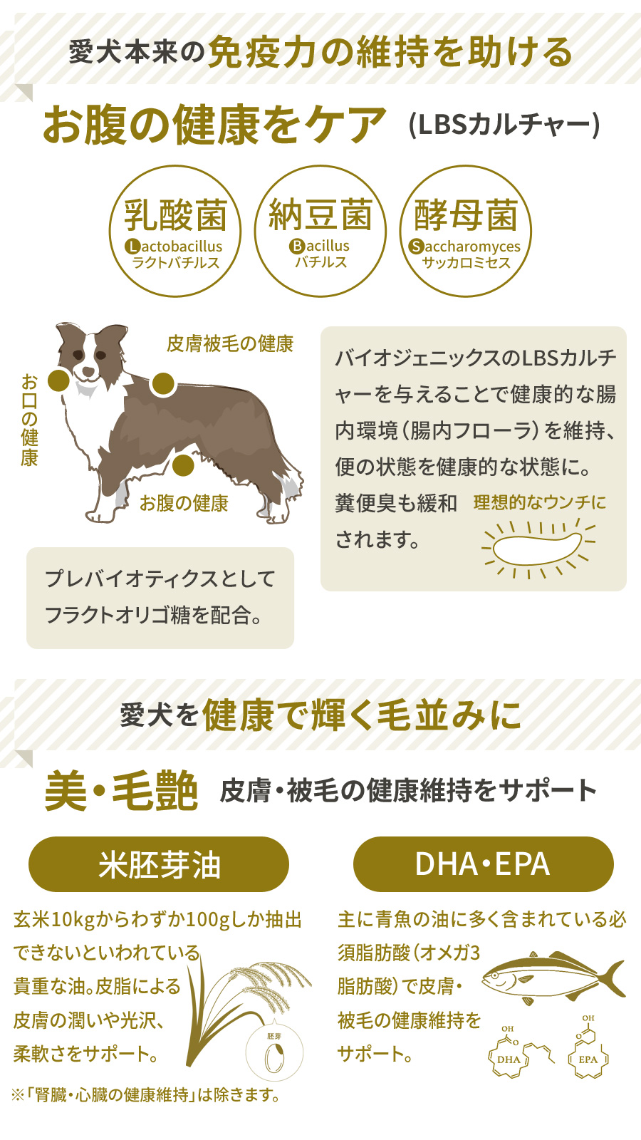 (選べるプレゼント付き)プロフェッショナルバランス アレルゲンケア&pHコントロール ダイエット用 3kg 犬 ドッグフード ドライ 国産｜dogparadise-2｜03