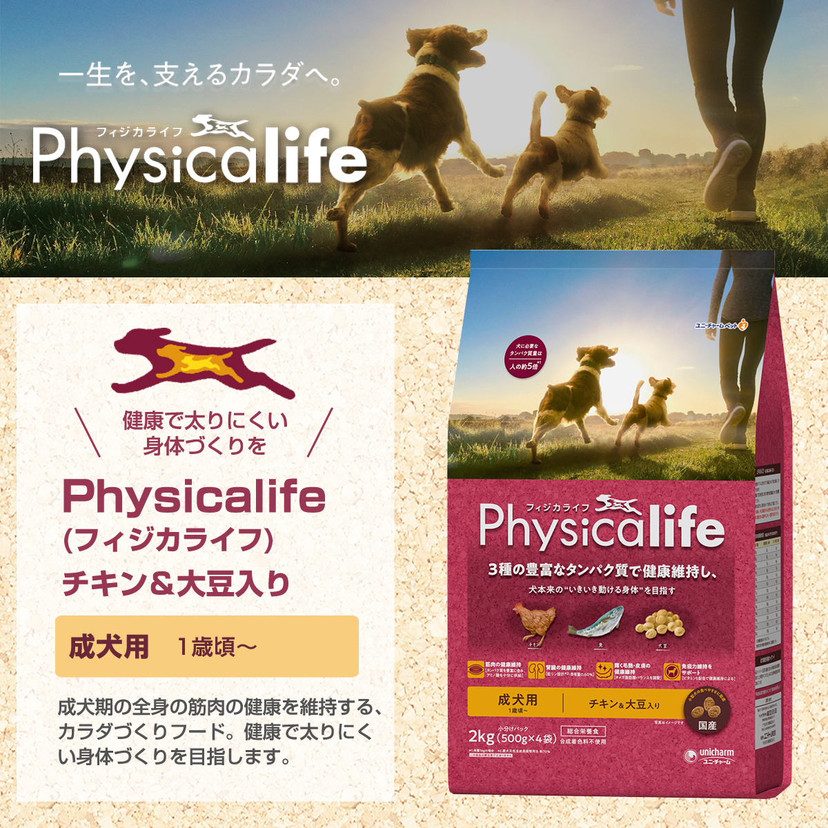 フィジカライフ (Physicalife) 成犬用 チキン＆大豆入り 2kg＋ph13.2強