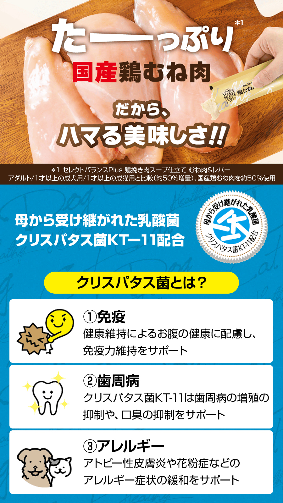 セレクトバランス Plus 鶏むね肉ペーストアダルト１才以上の成犬用