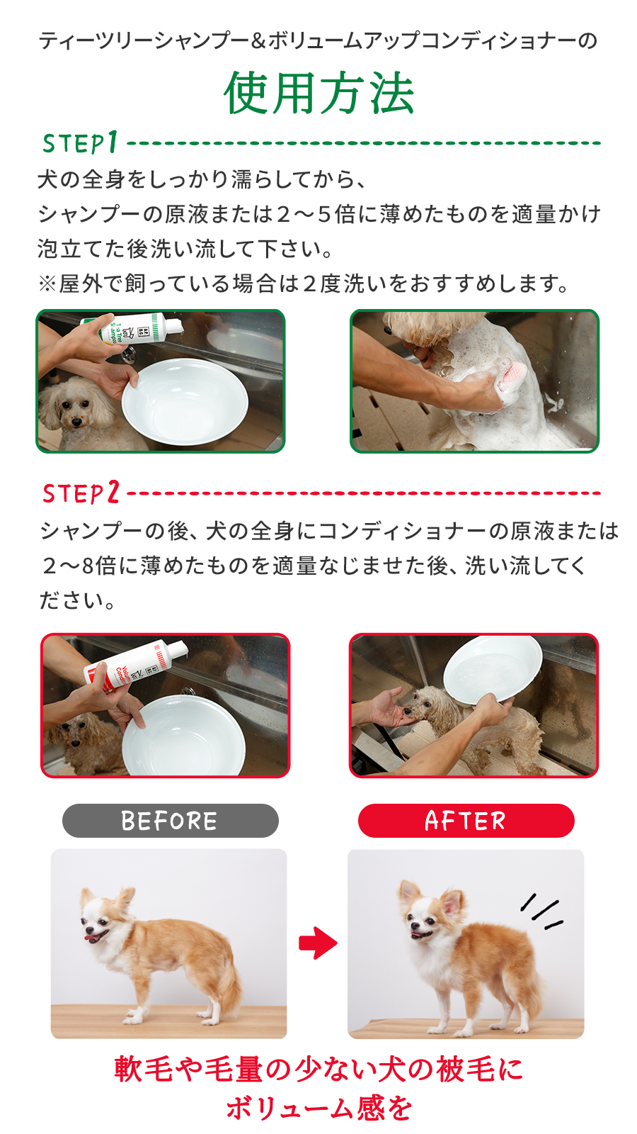 APDCセット