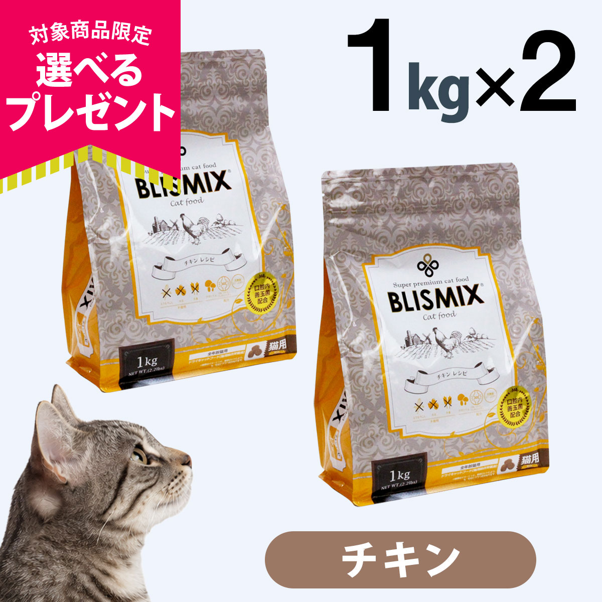 (選べるプレゼント付き)ブリスミックス 猫用チキン 1kg×2個セット キャットフード アレルギー対応 口腔内善玉菌K12配合