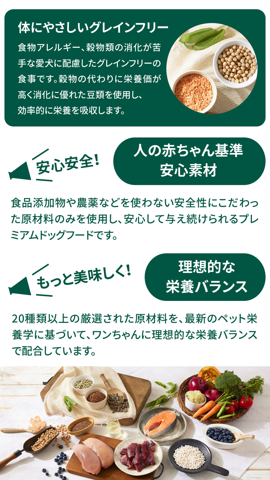 ソルビダ グレインフリー チキン 室内飼育成犬用 5.8kg  SOLVIDA 犬 ドッグ フード ドック オーガニック 穀物不使用 成犬 アダルト | ソルビダ | 03