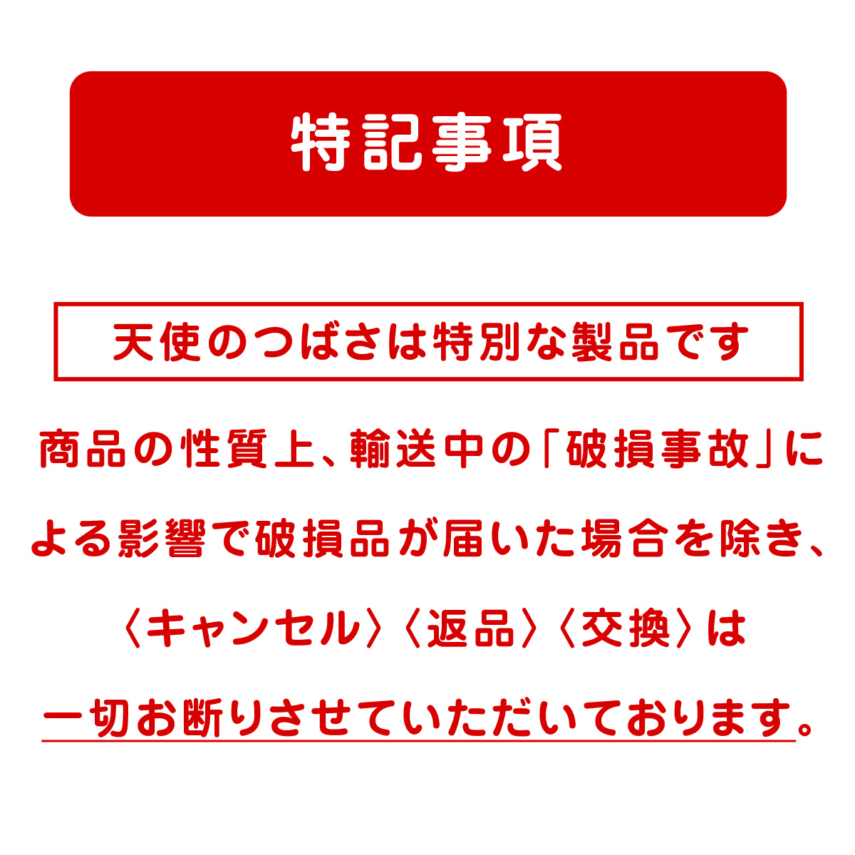 特記事項