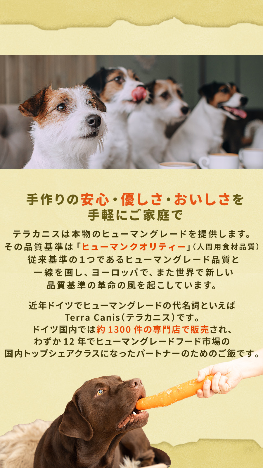 テラカニス ハイポアレルジェニック カンガルー肉缶 400g : ドッグ