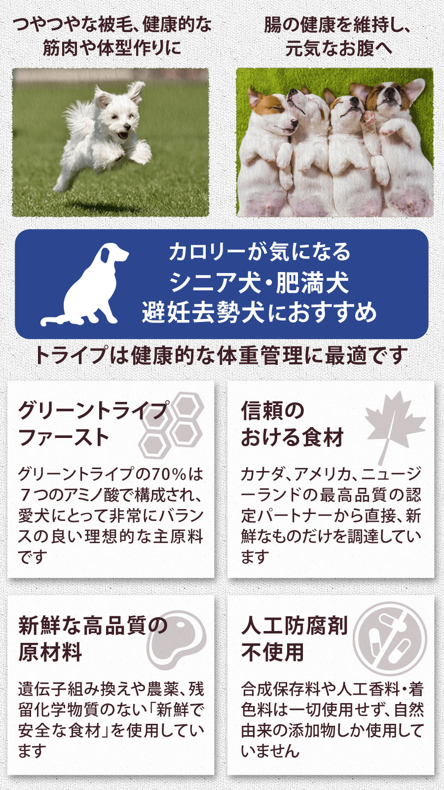 (選べるプレゼント付き)ペットカインド トライプドライ ウェイトマネージメントSAP ラムトライプ 小粒 6.35kg_3