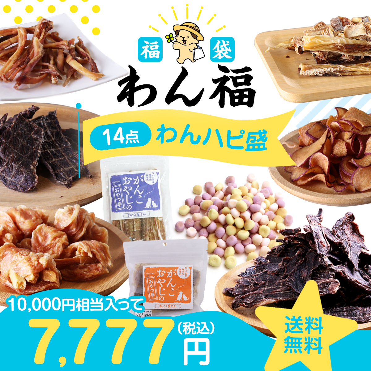 6/4〜販売開始)福袋 犬 おやつ 無添加 国産 夏 わん福＜わんハピ盛