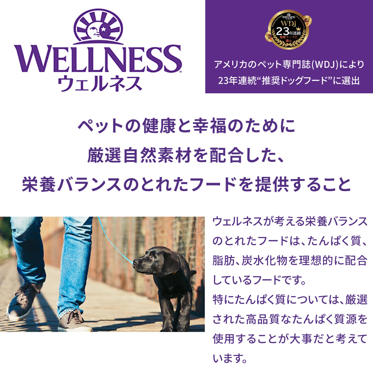 (選べるプレゼント付き)ウェルネスシンプル 小型犬 成犬用 (1歳以上)サーモン＆じゃがいも 1.8kg ドッグフード ドライ 犬 乳酸菌 アレルギー｜dogparadise-2｜05