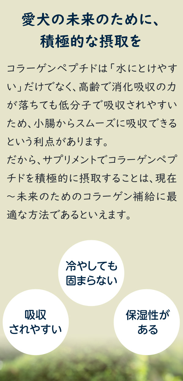 夢みるコラーゲン Dreaming Collagen 低分子コラーゲンペプチド 海魚由来のマリンコラーゲン 与えやすい粉末タイプ ビタミンC付き