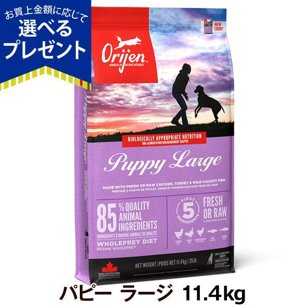 Yahoo! Yahoo!ショッピング(ヤフー ショッピング)（選べるプレゼント付き）オリジン パピーラージ 11.4kg