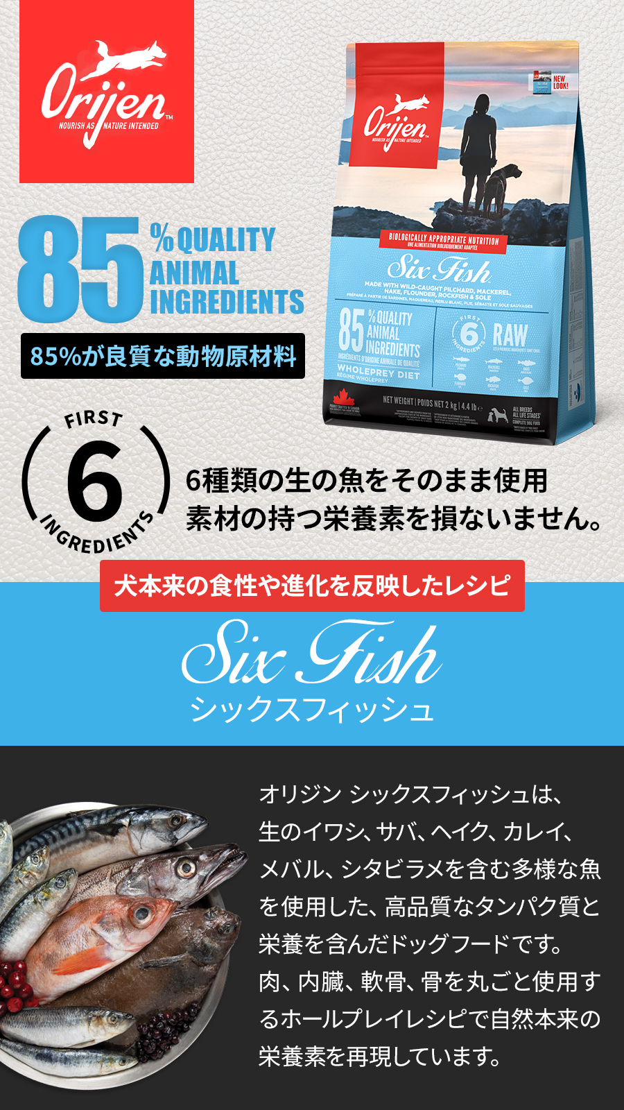 ORIJEN（オリジン） (選べるプレゼント付き)オリジン シックス