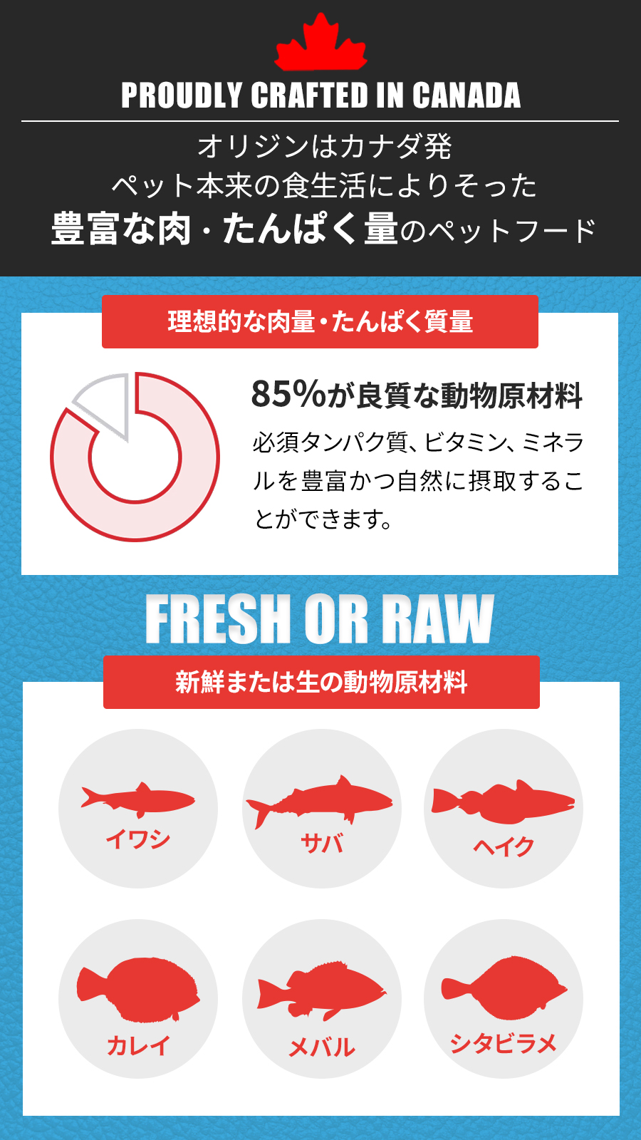 ORIJEN（オリジン） (選べるプレゼント付き)オリジン シックス