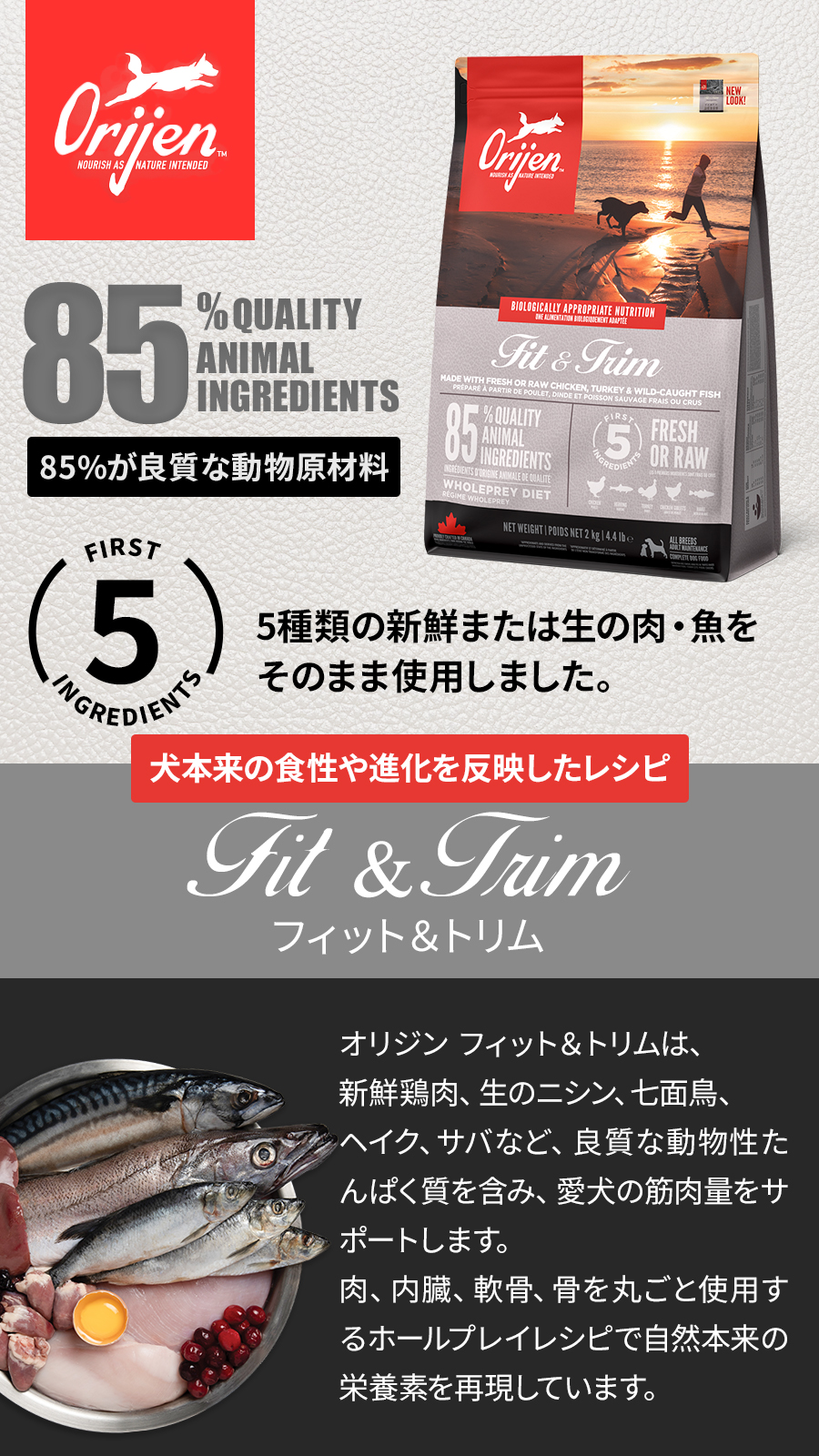 ORIJEN（オリジン） フィット＆トリム ドッグ 6kg ドッグフード 犬 成