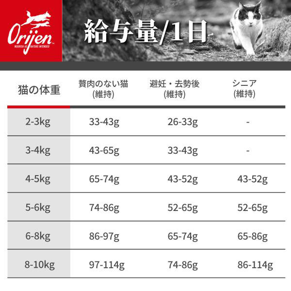 オリジン オリジナルキャット 340g×3個 猫 キャットフード ORIJIN 爆買