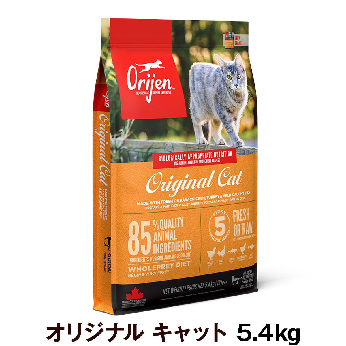 売れ筋 最短翌日お届け M5EBIPGK6AN [M5EBIPGK6AN]