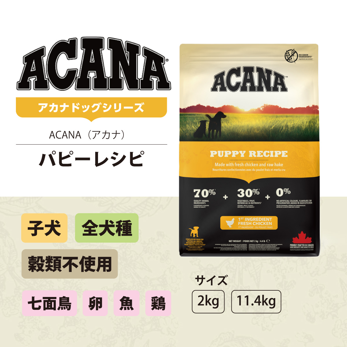 ACANA (選べるプレゼント付き)アカナ パピーレシピ 11.4kg 子犬