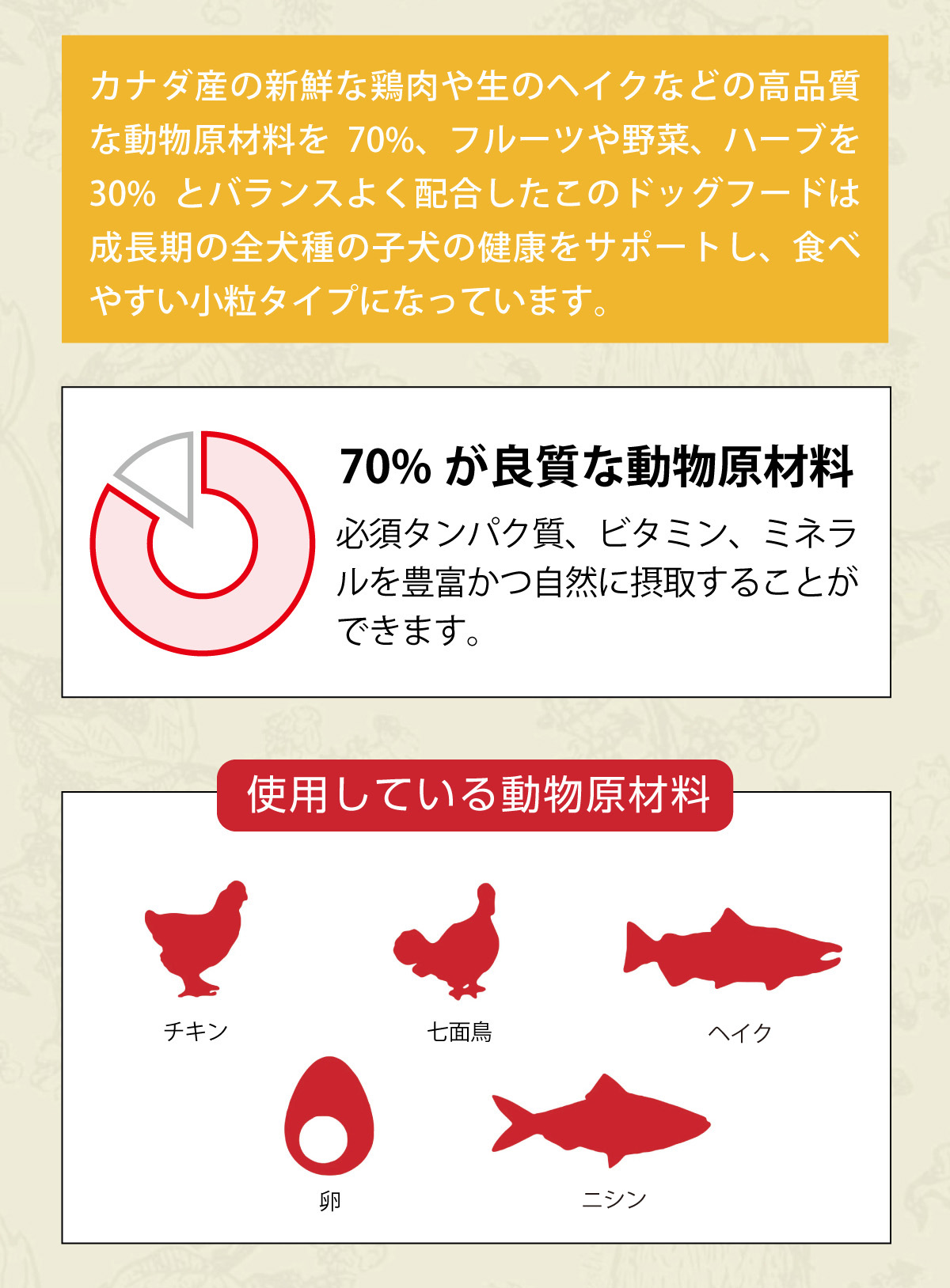 ACANA(アカナ) パピーレシピ 11.4kg +国産鹿肉ラング30g ACANA(アカナ) パピーレシピ 11.4kg +国産鹿肉ラング30g