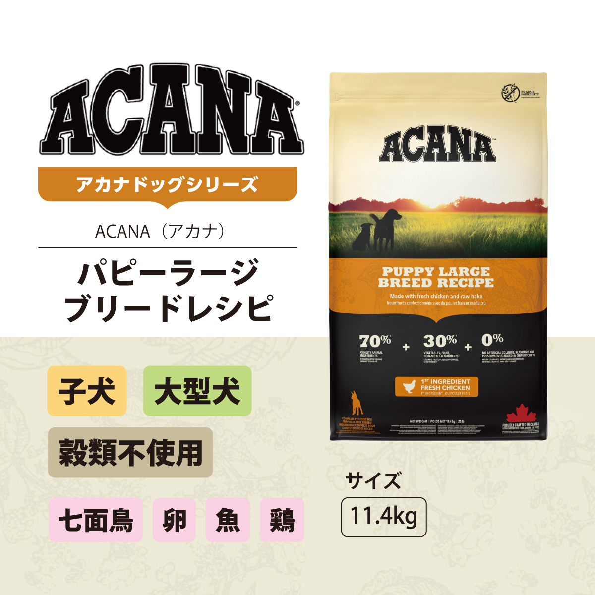 アカナ パピー ラージブリード 11.4kgのおすすめ人気商品一覧 通販