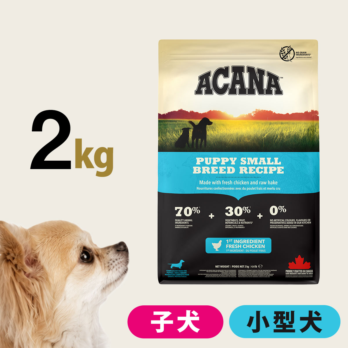 ACANA（アカナ） パピー スモールブリードレシピ2kg : ドッグ