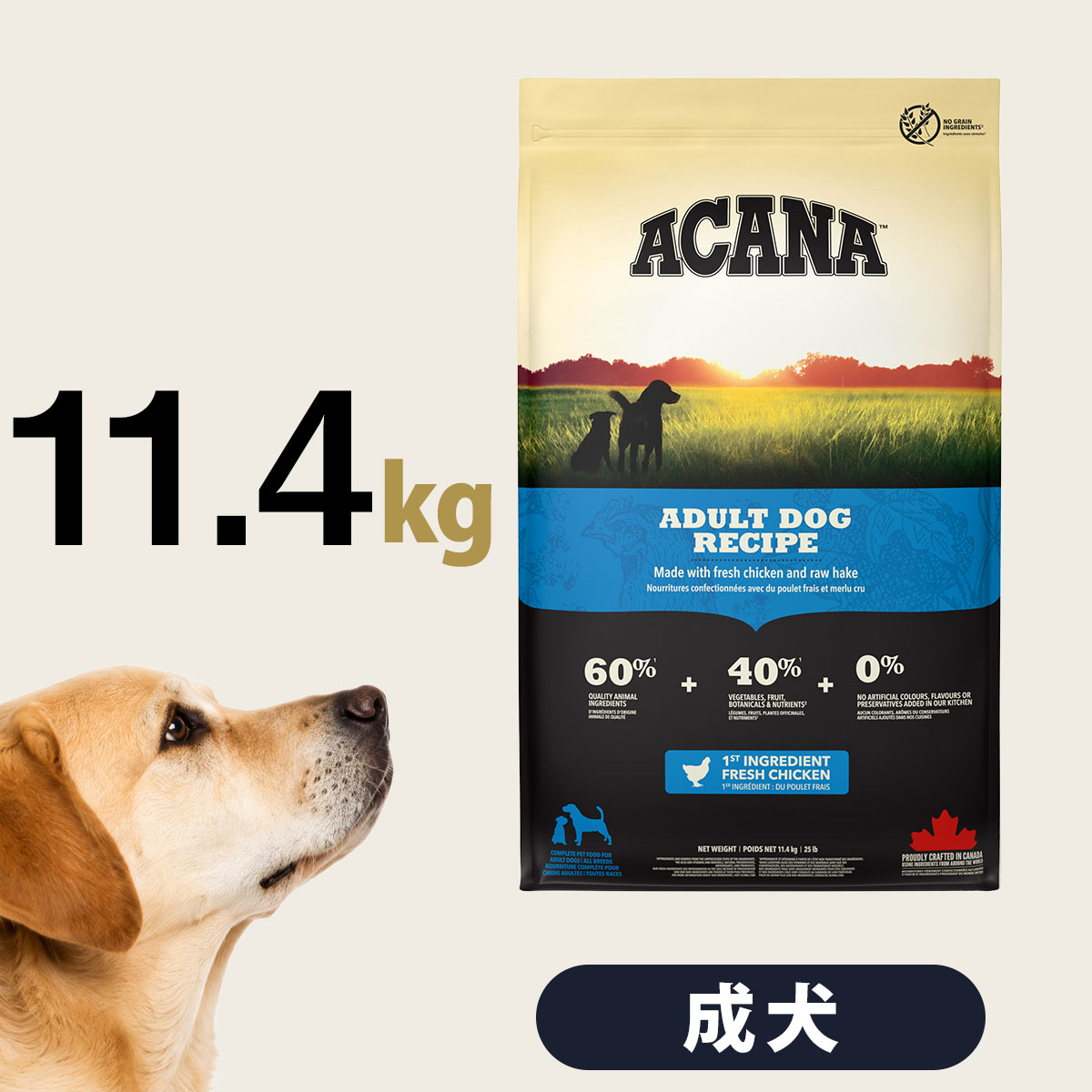 ACANA アダルトドッグレシピ11.4Kg ACANA（アカナ） アダルトドッグレシピ 11.4kg : ドッグパラダイス
