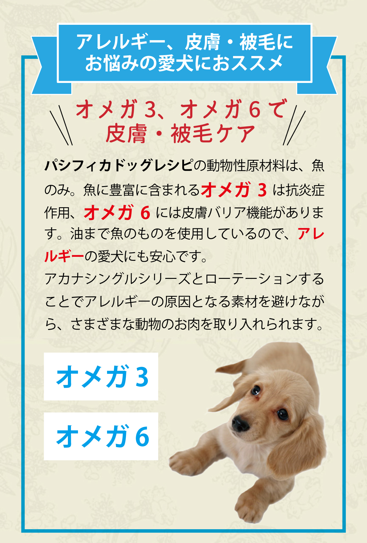 ［リニューアル変更済］アカナ ACANA ドッグフード ハイエストプロテイン パシフィカドッグ 6kg_5