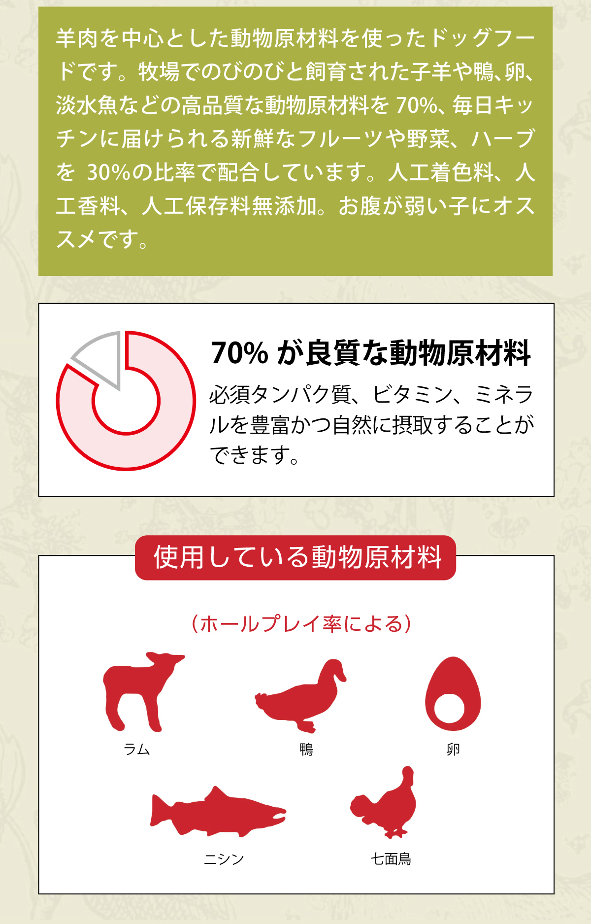 ACANA（アカナ） グラスランドドッグ 11.4kg+わんわんウエットてぃっ