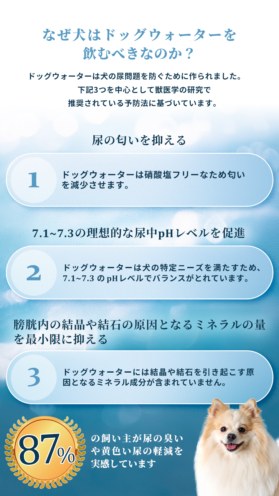 ファンタジーワールド ドッグウォーター 500ml×24本（他商品同梱不可）犬 水 低ミネラル 硝酸塩フリー ペットウォーター 水分補給 尿路結石 まとめ買い_2