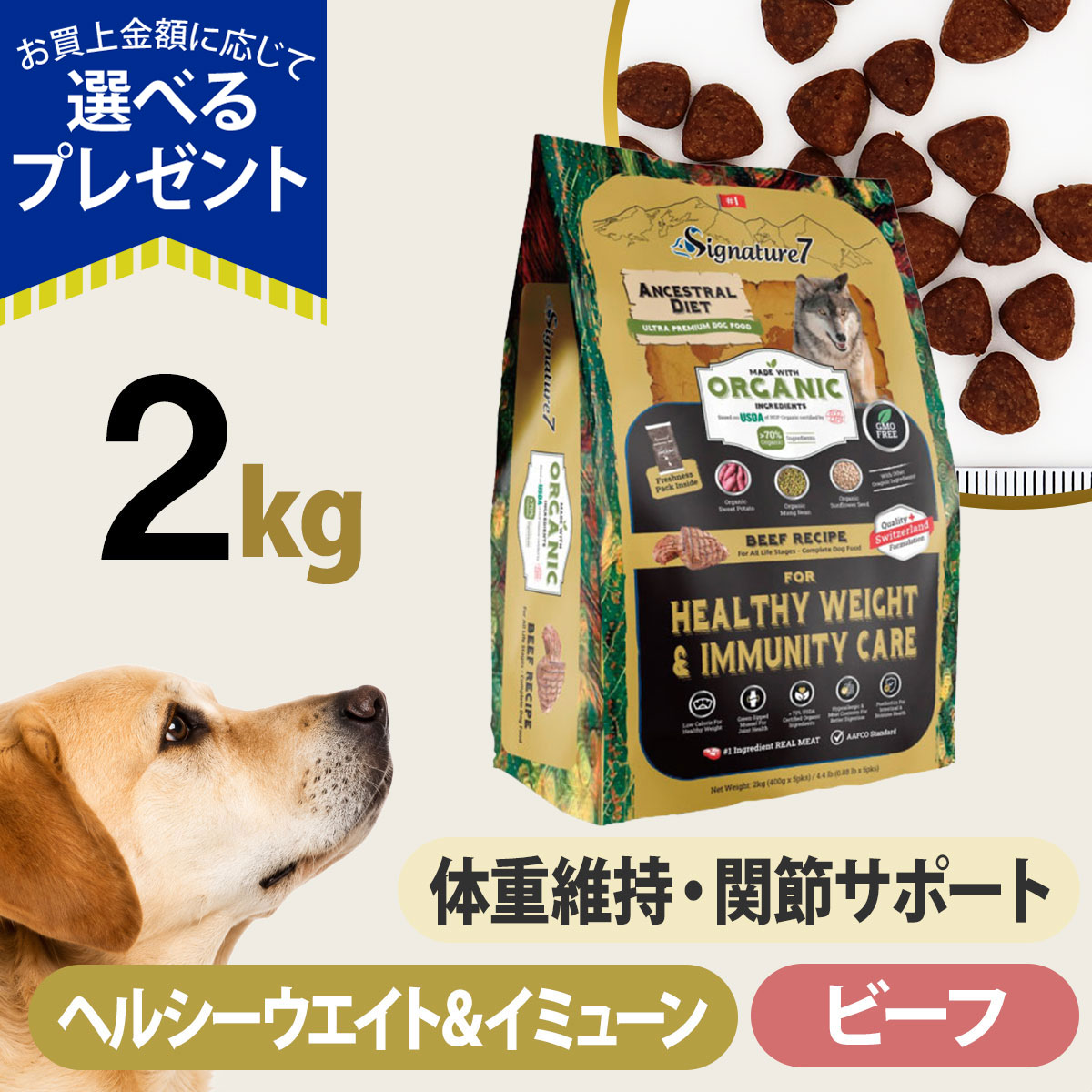 (選べるプレゼント付き)シグネチャー７ アンセストラルダイエット ドッグ ヘルシーウエイト＆イミューン ビーフレシピ 2kg 犬 低アレルゲン オーガニック