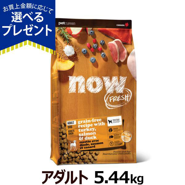 ナウ フレッシュ アダルト5.44kg 犬 ドッグフード ドックフード グレインフリー 成犬 アダルト フレッシュミート ドライ