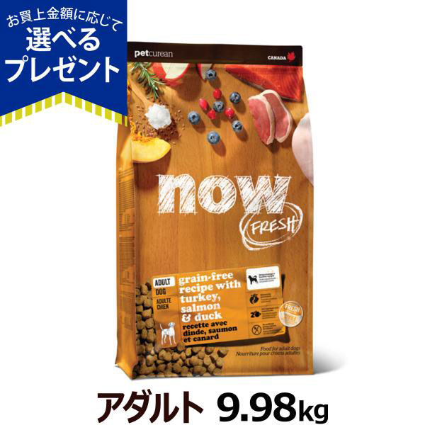 ナウ フレッシュ  アダルト9.98kg 犬 ドッグフード ドックフード グレインフリー 成犬 アダルト フレッシュミート ドライ