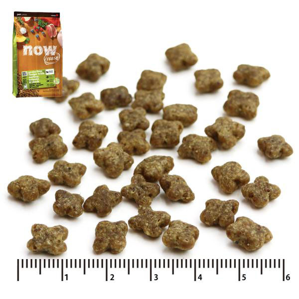 NOW FRESH ナウ フレッシュ スモールブリードアダルト9.98kg 犬