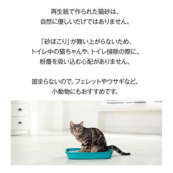 FreshNews フレッシュニュース 11.36kg(配送会社指定不可・他商品同梱不可・選べるプレゼント対象外) |  | 03