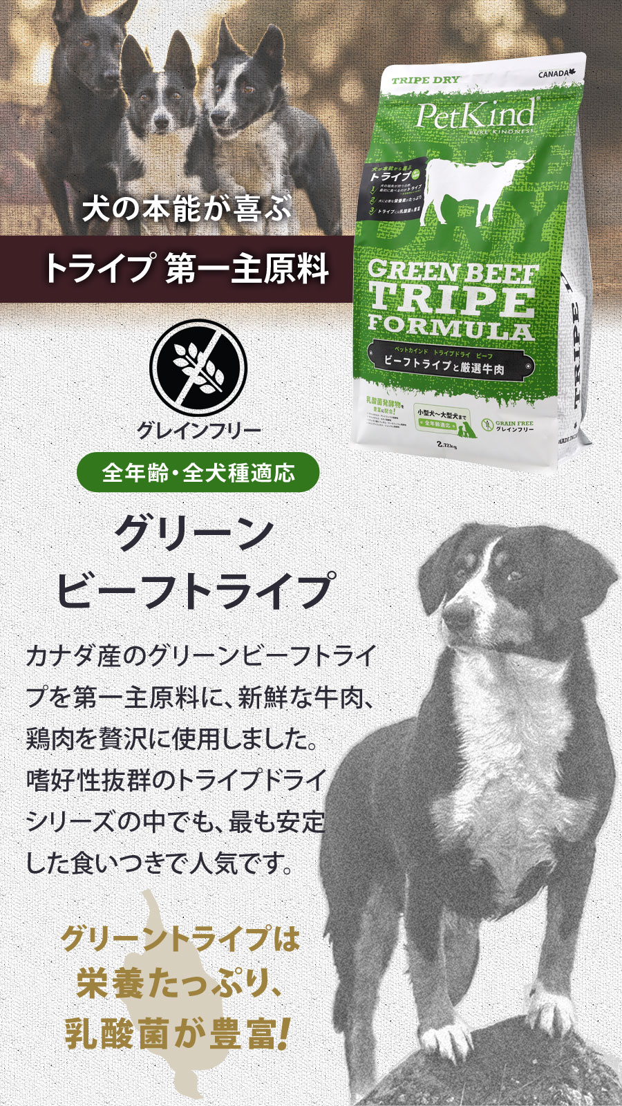 選べるプレゼント付き) ペットカインド トライプドライ グリーン