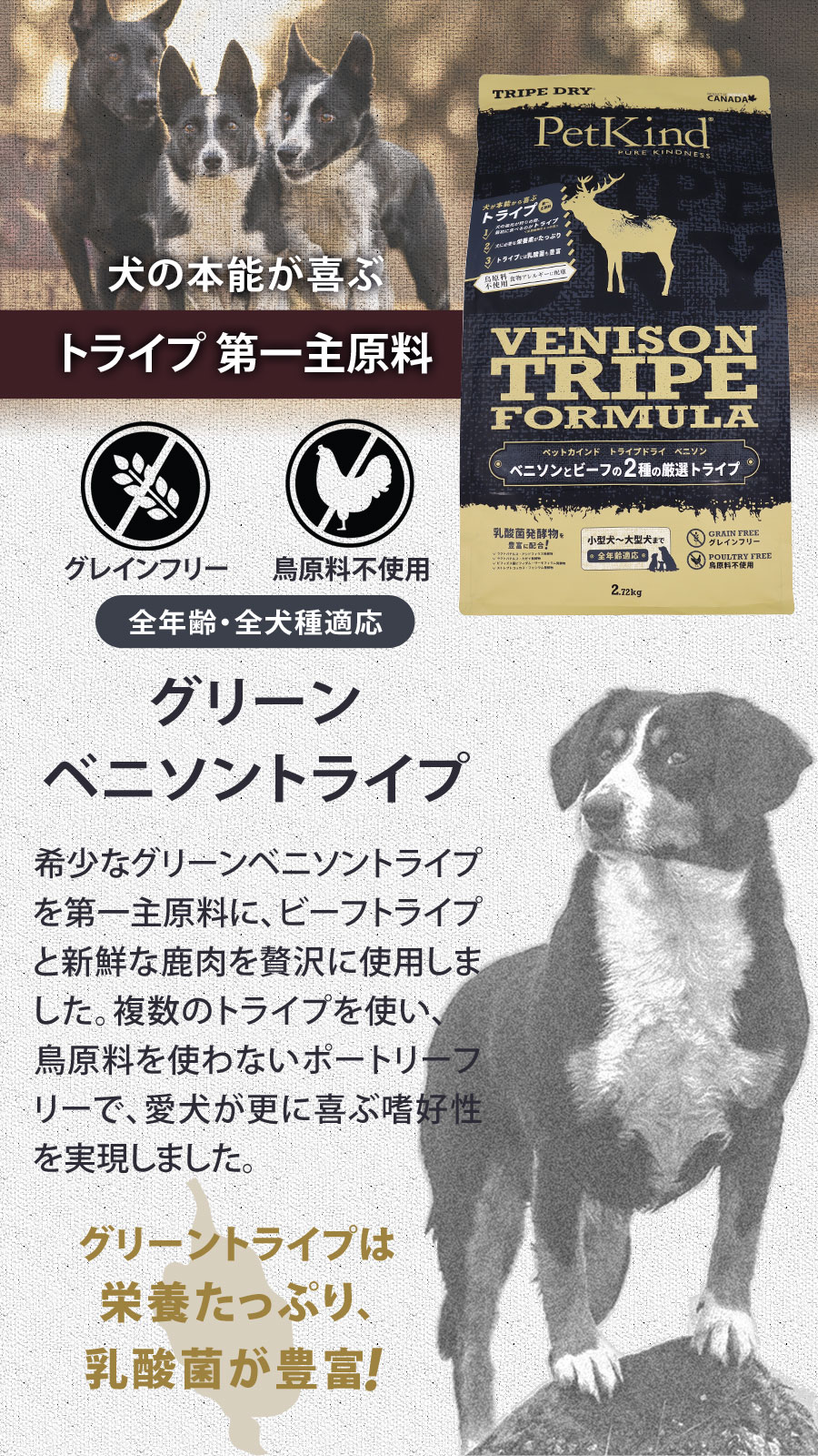 選べるプレゼント付き) ペットカインド トライプドライ ベニソン 