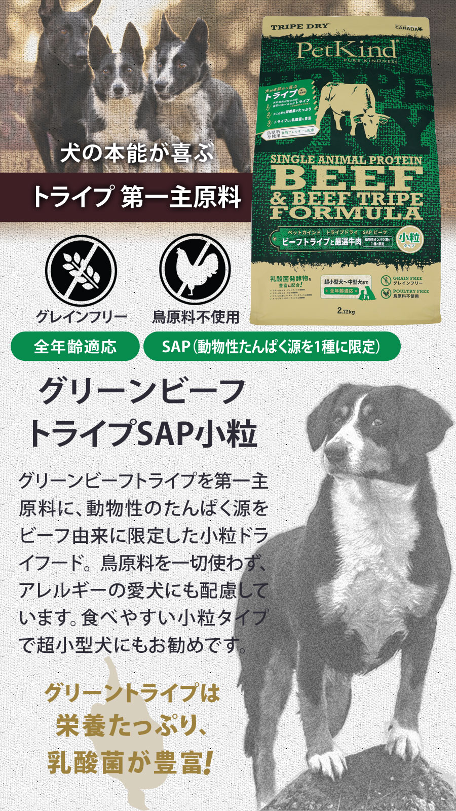 (選べるプレゼント付き)ペットカインド トライプドライ グリーンビーフトライプ SAP 小粒 6.35kg_1