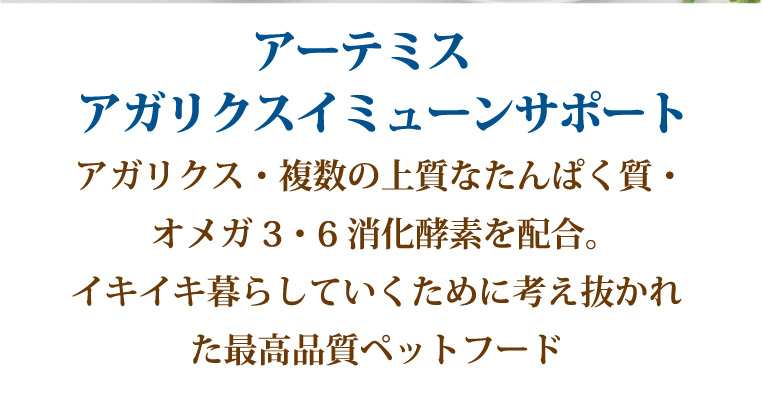 アーテミス アガリクスイミューンサポート小粒