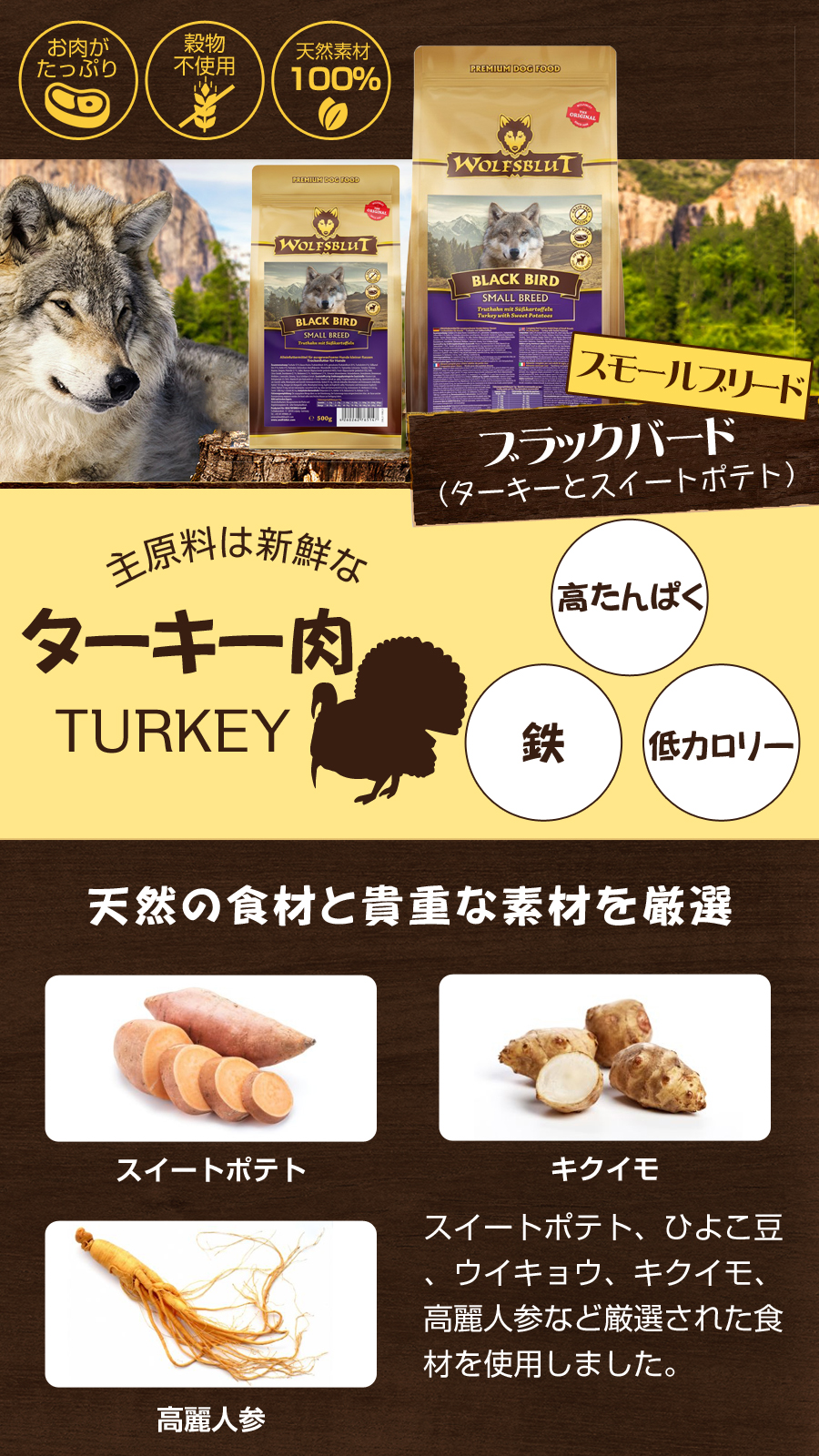 ウォルフGanodermaセット ウォルフGanodermaセット