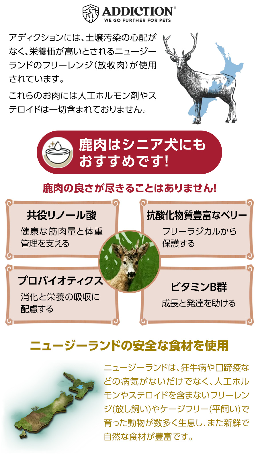 (選べるプレゼント付き)アディクション ドッグ...の詳細画像2
