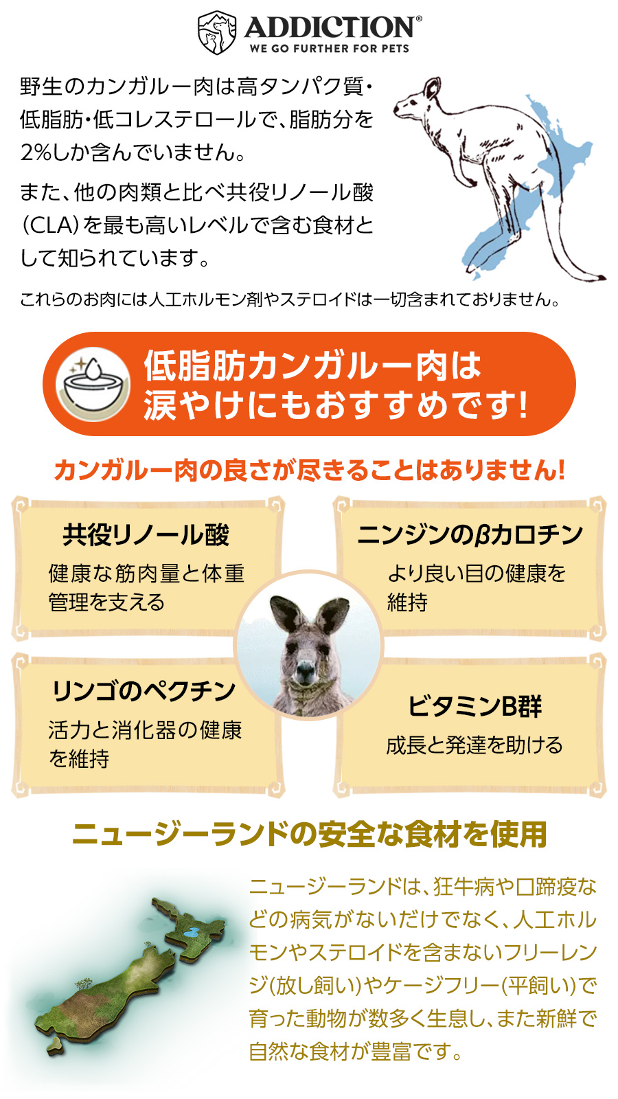 ADDICTION（アディクション） (選べるプレゼント付き)アディクション