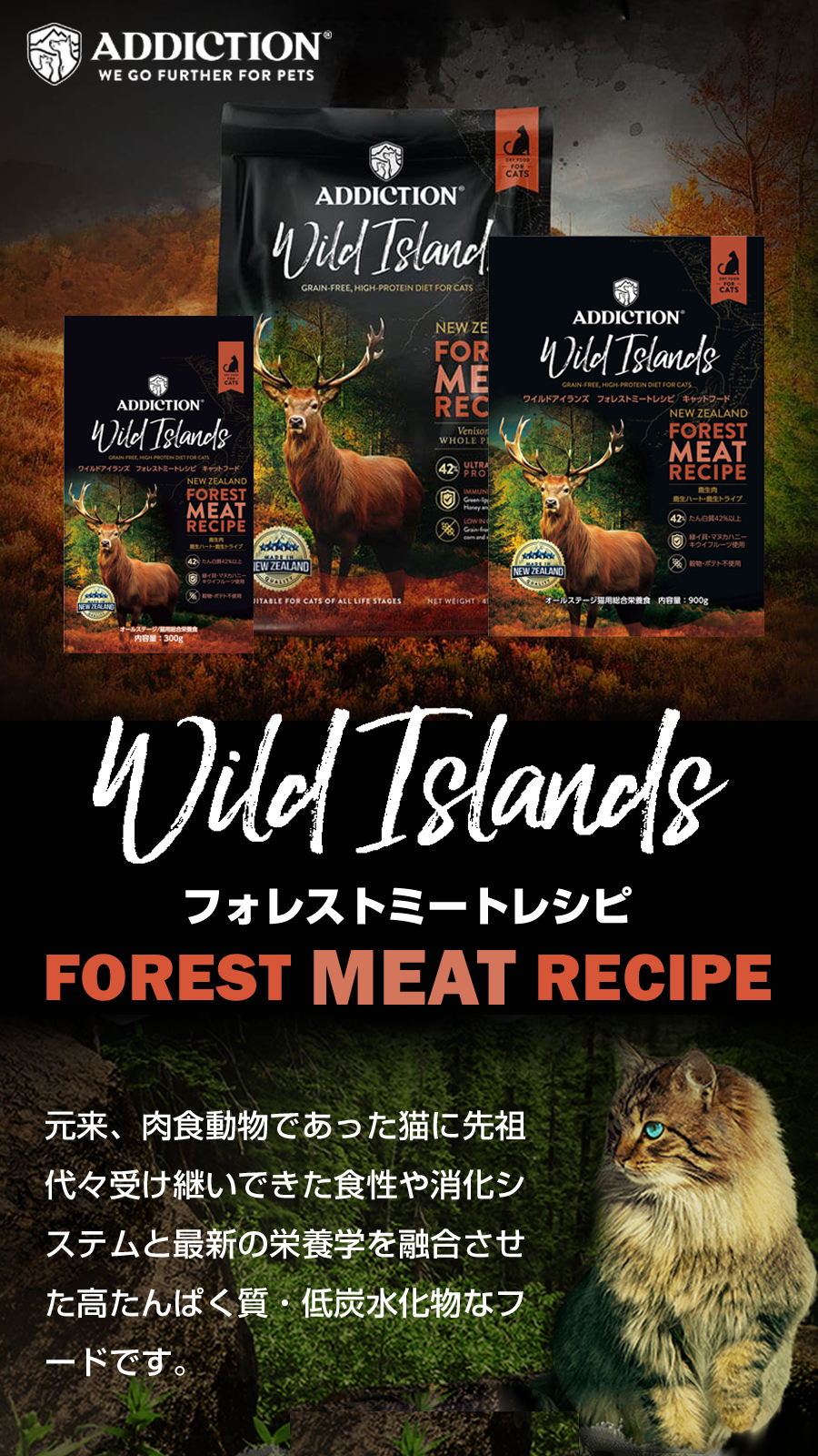 BWild グレインフリー キャットフード 6kg BWild グレインフリー キャットフード 6kg