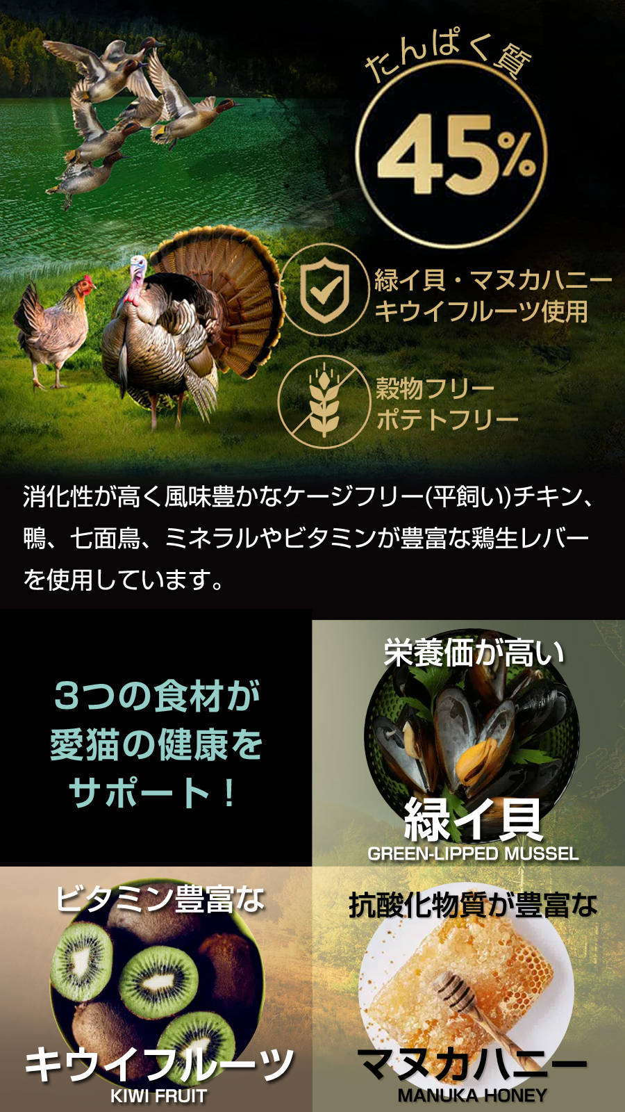 ADDICTION（ペット用品） アディクション キャット ワイルド