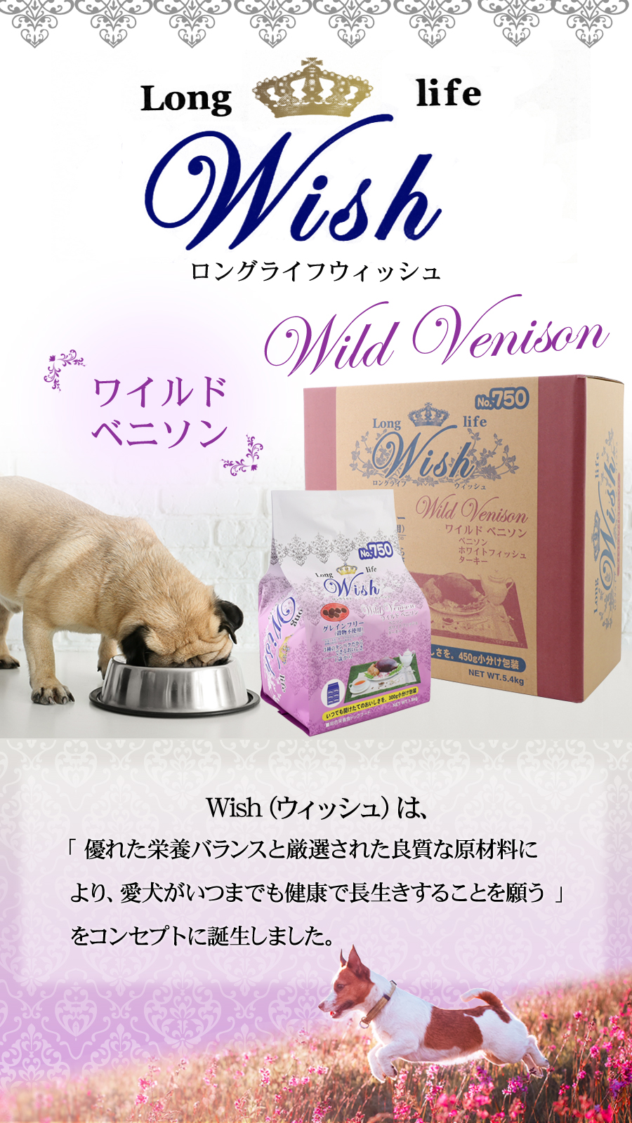 (選べるプレゼント付き)ウィッシュ ワイルドベニソン 5.4kg wish ドッグフード  ドックフード 犬 グレインフリー 穀物不使用の画像